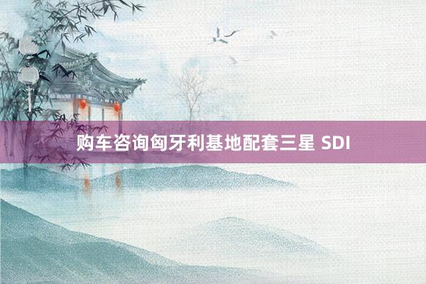 购车咨询匈牙利基地配套三星 SDI