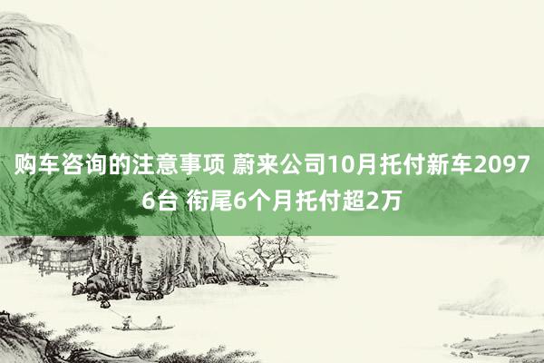 购车咨询的注意事项 蔚来公司10月托付新车20976台 衔尾6个月托付超2万