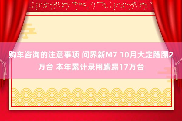 购车咨询的注意事项 问界新M7 10月大定蹧蹋2万台 本年累计录用蹧蹋17万台