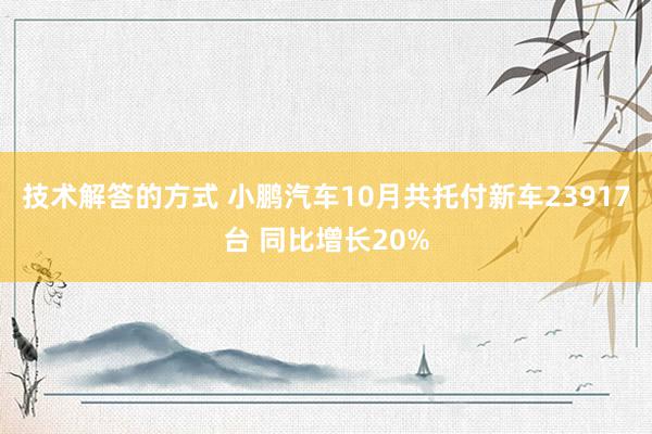 技术解答的方式 小鹏汽车10月共托付新车23917台 同比增长20%