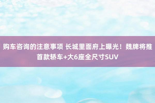 购车咨询的注意事项 长城里面府上曝光！魏牌将推首款轿车+大6座全尺寸SUV