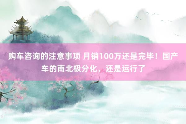 购车咨询的注意事项 月销100万还是完毕！国产车的南北极分化，还是运行了