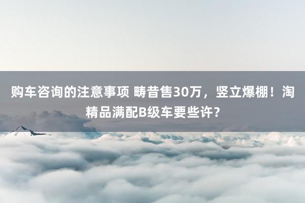 购车咨询的注意事项 畴昔售30万，竖立爆棚！淘精品满配B级车要些许？