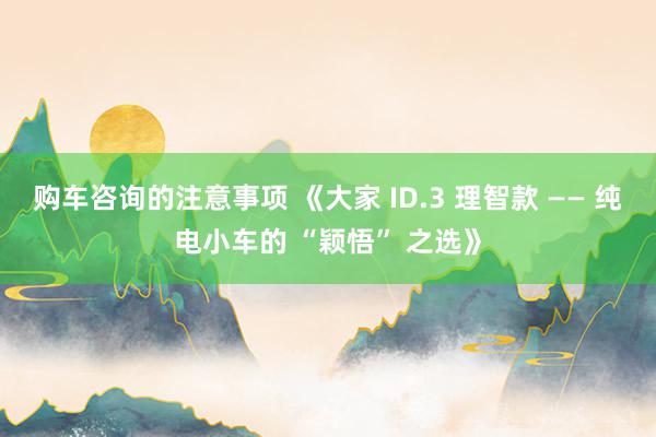 购车咨询的注意事项 《大家 ID.3 理智款 —— 纯电小车的 “颖悟” 之选》