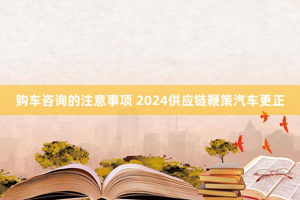 购车咨询的注意事项 2024供应链鞭策汽车更正