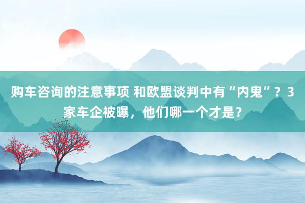 购车咨询的注意事项 和欧盟谈判中有“内鬼”？3家车企被曝，他们哪一个才是？