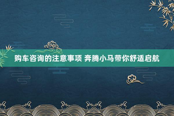 购车咨询的注意事项 奔腾小马带你舒适启航