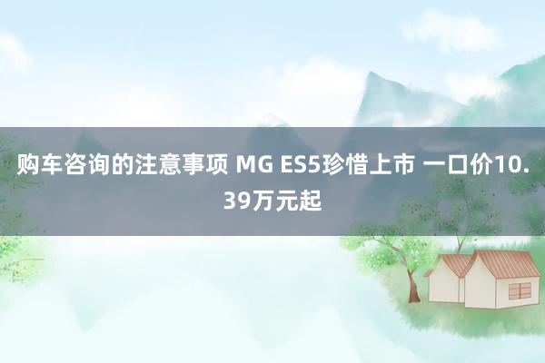 购车咨询的注意事项 MG ES5珍惜上市 一口价10.39万元起