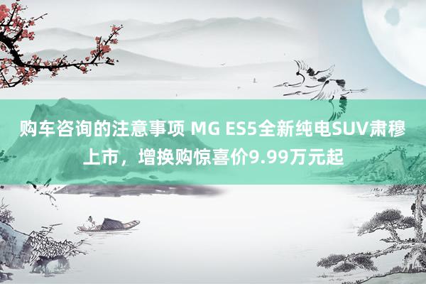 购车咨询的注意事项 MG ES5全新纯电SUV肃穆上市，增换购惊喜价9.99万元起