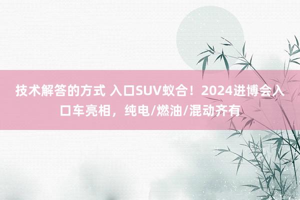 技术解答的方式 入口SUV蚁合！2024进博会入口车亮相，纯电/燃油/混动齐有