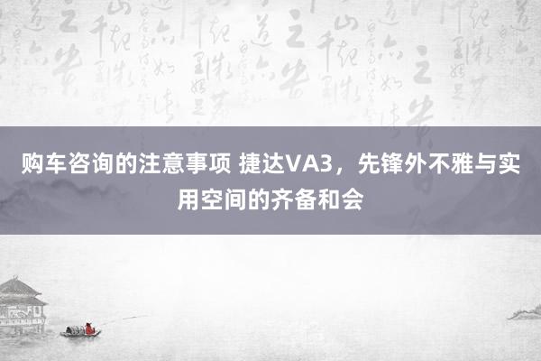 购车咨询的注意事项 捷达VA3，先锋外不雅与实用空间的齐备和会