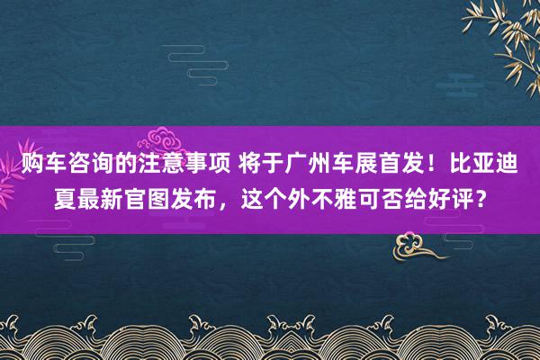 购车咨询的注意事项 将于广州车展首发！比亚迪夏最新官图发布，这个外不雅可否给好评？