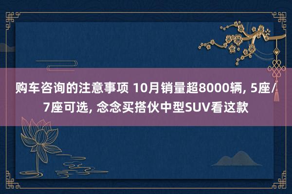 购车咨询的注意事项 10月销量超8000辆, 5座/7座可选, 念念买搭伙中型SUV看这款