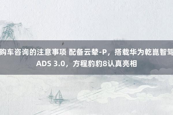 购车咨询的注意事项 配备云辇-P，搭载华为乾崑智驾ADS 3.0，方程豹豹8认真亮相