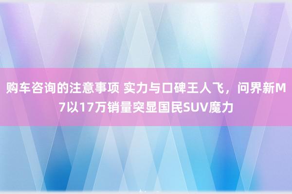 购车咨询的注意事项 实力与口碑王人飞，问界新M7以17万销量突显国民SUV魔力