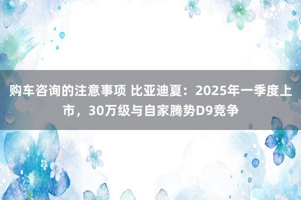 购车咨询的注意事项 比亚迪夏：2025年一季度上市，30万级与自家腾势D9竞争