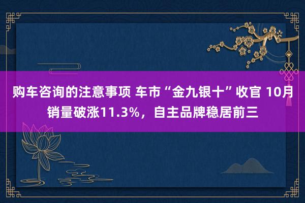 购车咨询的注意事项 车市“金九银十”收官 10月销量破涨11.3%，自主品牌稳居前三