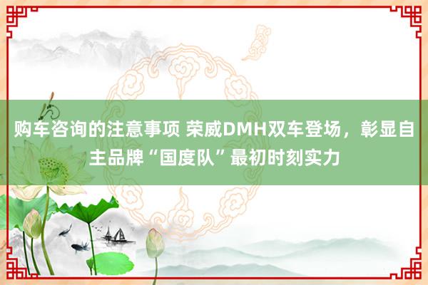 购车咨询的注意事项 荣威DMH双车登场，彰显自主品牌“国度队”最初时刻实力