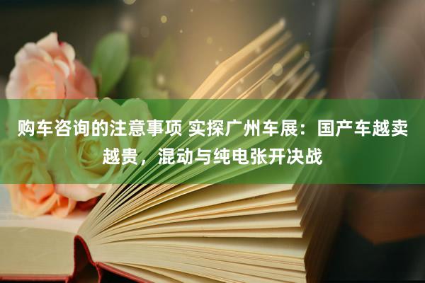 购车咨询的注意事项 实探广州车展：国产车越卖越贵，混动与纯电张开决战