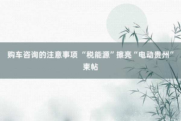 购车咨询的注意事项 “税能源”擦亮“电动贵州”柬帖