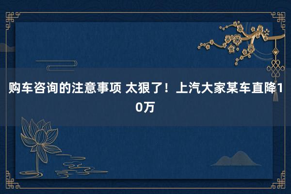 购车咨询的注意事项 太狠了！上汽大家某车直降10万