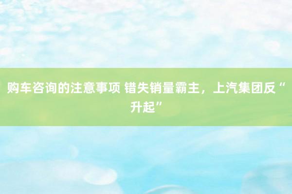 购车咨询的注意事项 错失销量霸主，上汽集团反“升起”