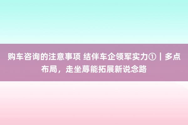 购车咨询的注意事项 结伴车企领军实力①｜多点布局，走坐蓐能拓展新说念路