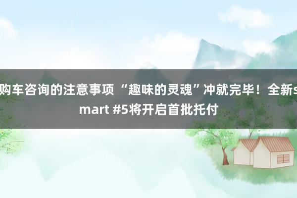 购车咨询的注意事项 “趣味的灵魂”冲就完毕！全新smart #5将开启首批托付