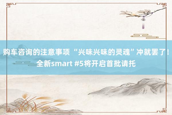 购车咨询的注意事项 “兴味兴味的灵魂”冲就罢了！全新smart #5将开启首批请托