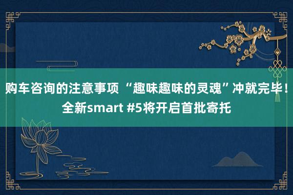 购车咨询的注意事项 “趣味趣味的灵魂”冲就完毕！全新smart #5将开启首批寄托