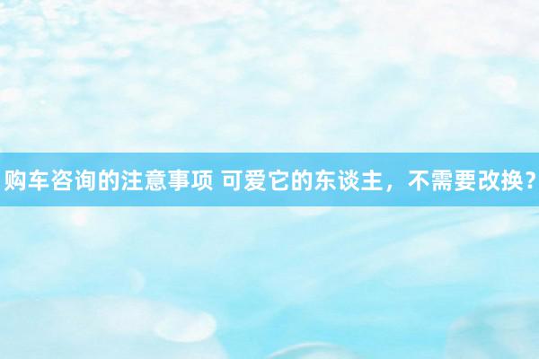 购车咨询的注意事项 可爱它的东谈主，不需要改换？