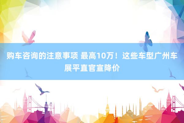 购车咨询的注意事项 最高10万！这些车型广州车展平直官宣降价