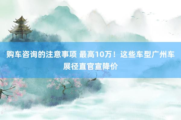 购车咨询的注意事项 最高10万！这些车型广州车展径直官宣降价