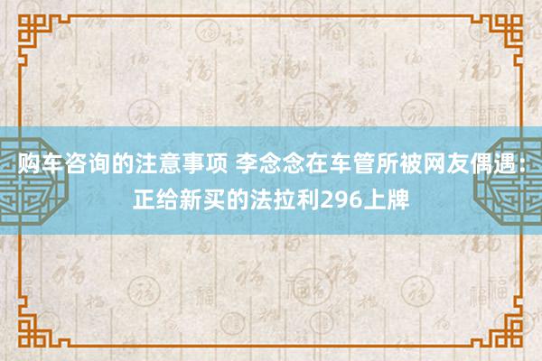 购车咨询的注意事项 李念念在车管所被网友偶遇：正给新买的法拉利296上牌