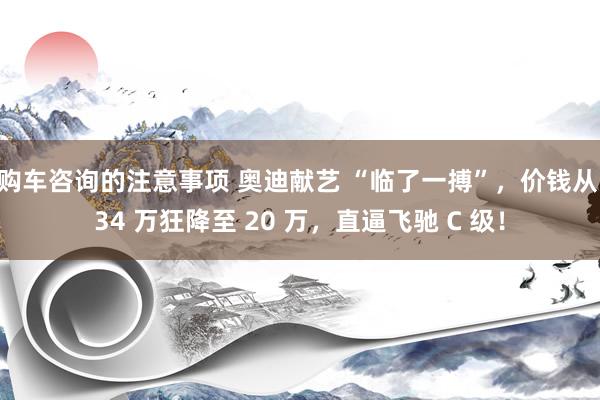 购车咨询的注意事项 奥迪献艺 “临了一搏”，价钱从 34 万狂降至 20 万，直逼飞驰 C 级！