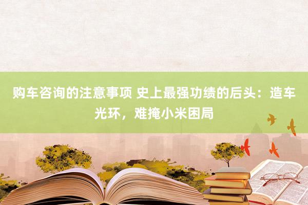 购车咨询的注意事项 史上最强功绩的后头：造车光环，难掩小米困局