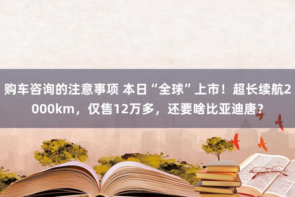 购车咨询的注意事项 本日“全球”上市！超长续航2000km，仅售12万多，还要啥比亚迪唐？