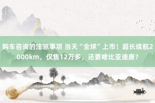 购车咨询的注意事项 当天“全球”上市！超长续航2000km，仅售12万多，还要啥比亚迪唐？