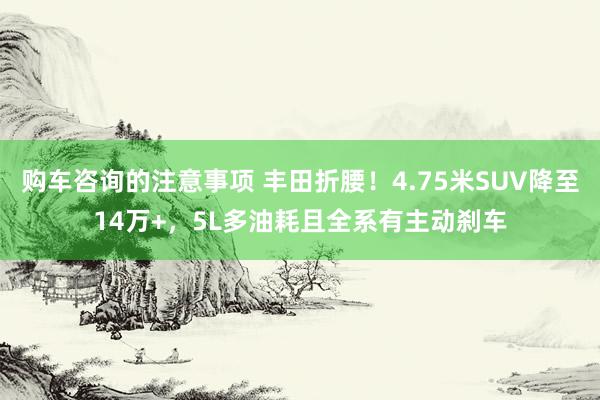 购车咨询的注意事项 丰田折腰！4.75米SUV降至14万+，5L多油耗且全系有主动刹车