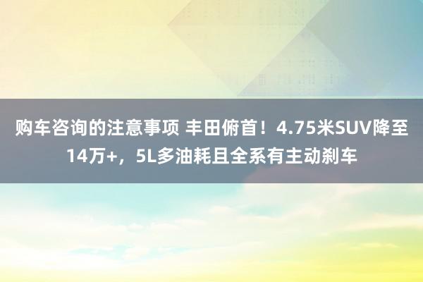 购车咨询的注意事项 丰田俯首！4.75米SUV降至14万+，5L多油耗且全系有主动刹车