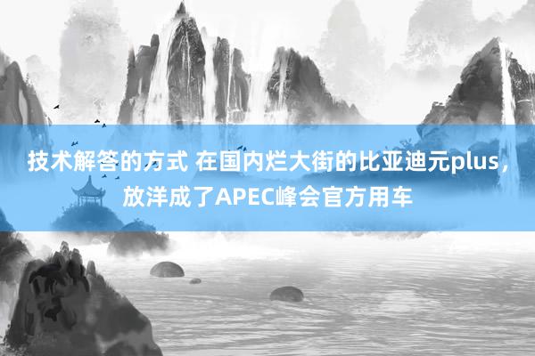 技术解答的方式 在国内烂大街的比亚迪元plus，放洋成了APEC峰会官方用车