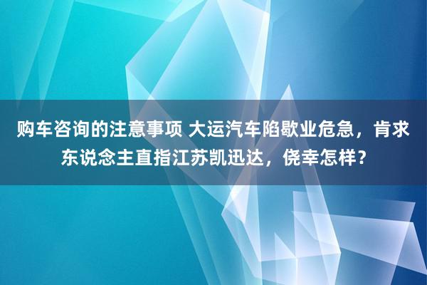 购车咨询的注意事项 大运汽车陷歇业危急，肯求东说念主直指江苏凯迅达，侥幸怎样？