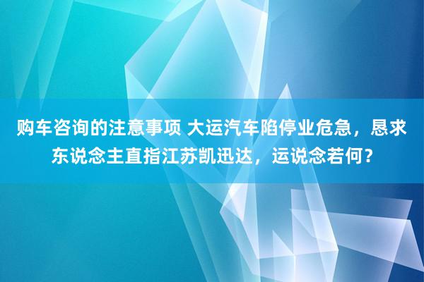 购车咨询的注意事项 大运汽车陷停业危急，恳求东说念主直指江苏凯迅达，运说念若何？