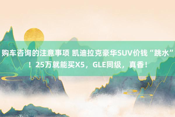 购车咨询的注意事项 凯迪拉克豪华SUV价钱“跳水”！25万就能买X5，GLE同级，真香！