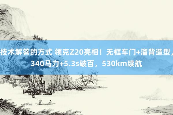 技术解答的方式 领克Z20亮相！无框车门+溜背造型，340马力+5.3s破百，530km续航