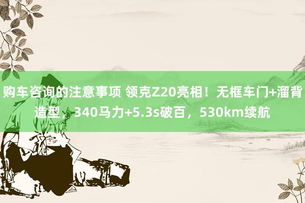 购车咨询的注意事项 领克Z20亮相！无框车门+溜背造型，340马力+5.3s破百，530km续航