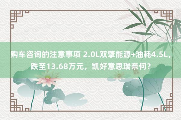 购车咨询的注意事项 2.0L双擎能源+油耗4.5L，跌至13.68万元，凯好意思瑞奈何？