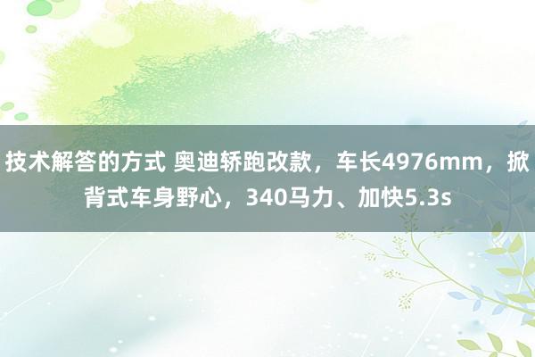 技术解答的方式 奥迪轿跑改款，车长4976mm，掀背式车身野心，340马力、加快5.3s