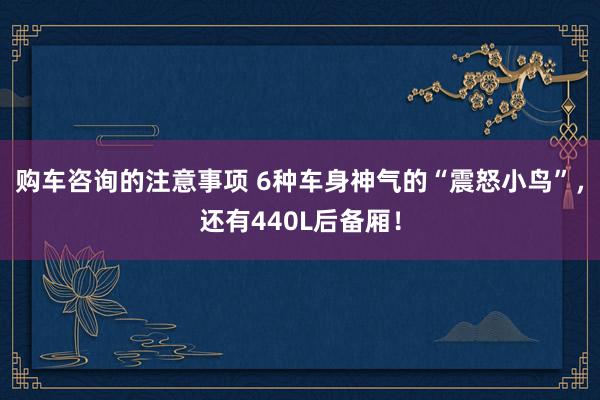 购车咨询的注意事项 6种车身神气的“震怒小鸟”，还有440L后备厢！