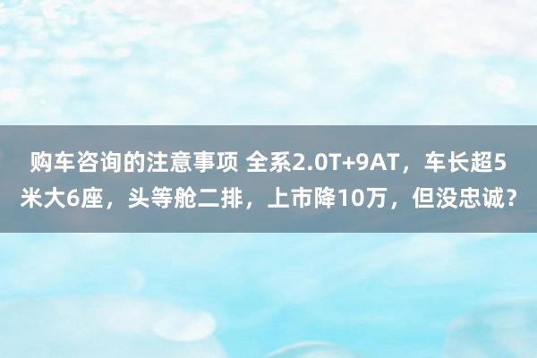 购车咨询的注意事项 全系2.0T+9AT，车长超5米大6座，头等舱二排，上市降10万，但没忠诚？